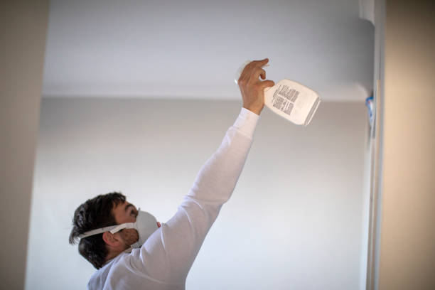 Mold Removal Process in Potosi, TX
